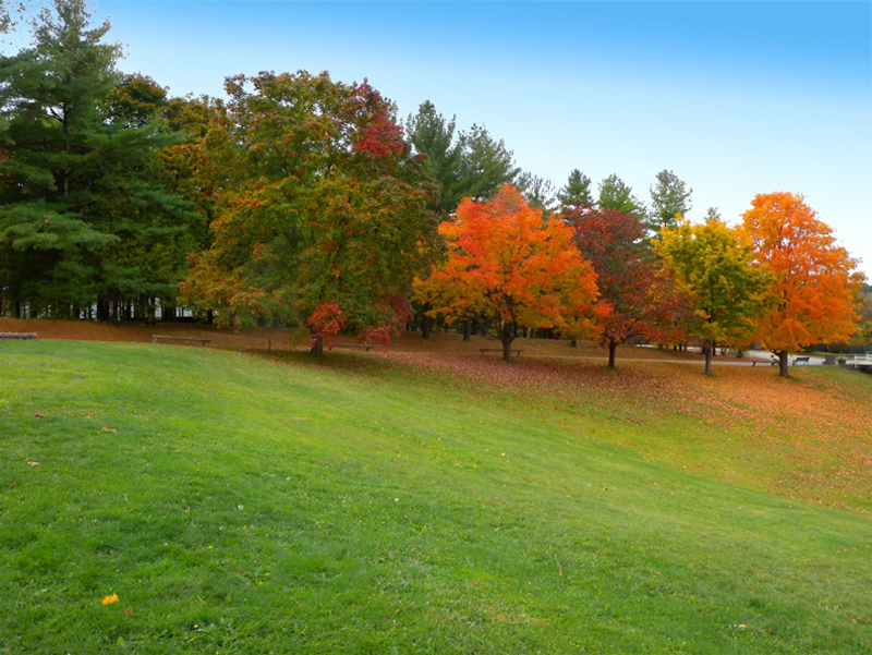 fall_shelmuseum_091015nc_ac___2009cbates_001_sh_vsm-1021